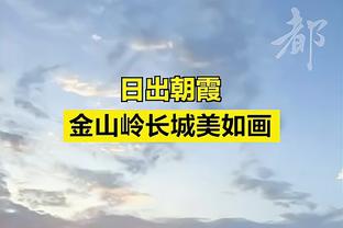 罗伊斯：桑乔是一位与众不同的球员，我很喜欢跟他一起踢球